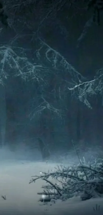 Snow-covered dark forest in winter.