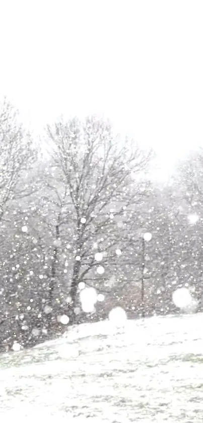 A serene winter forest scene with gentle snowfall and bare trees.