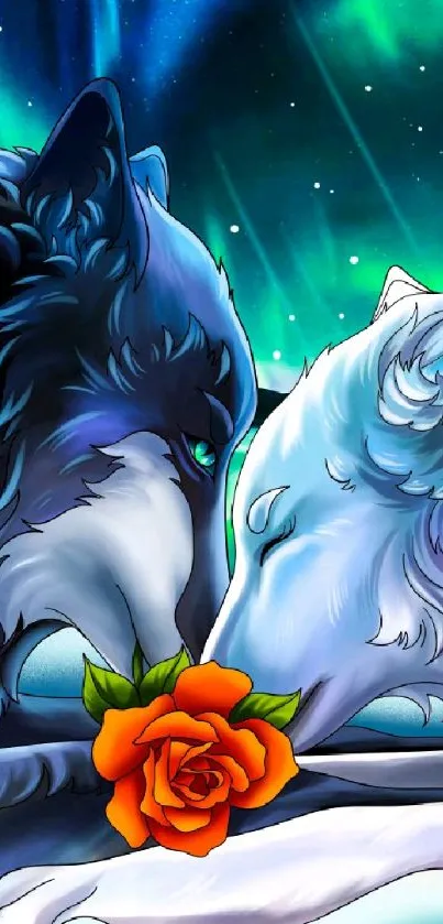 Two mystical wolves with a rose under northern lights.