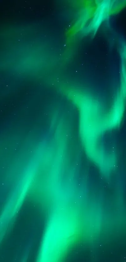Vivid green aurora borealis dancing in the night sky.