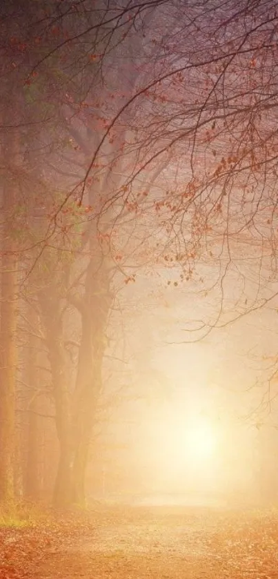 Misty forest path with autumn leaves and soft sunlight.