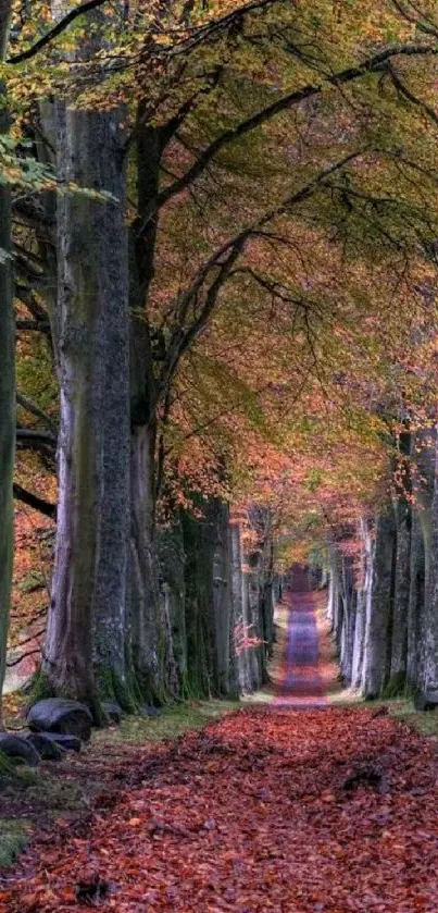 Enchanting pathway through an autumn forest with vibrant leaves.