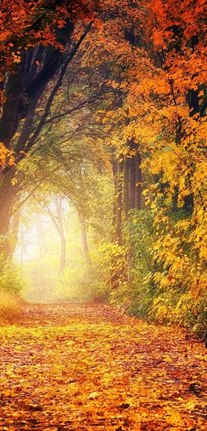 Autumn pathway with vibrant orange leaves and a serene forest setting.