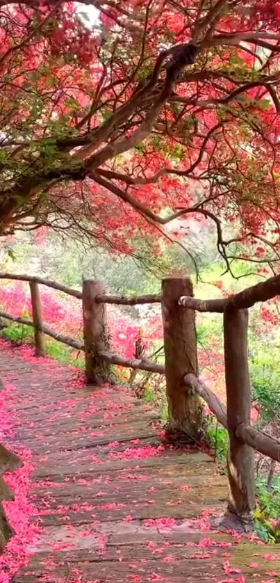 Charming path covered with pink blossoms under a floral archway.
