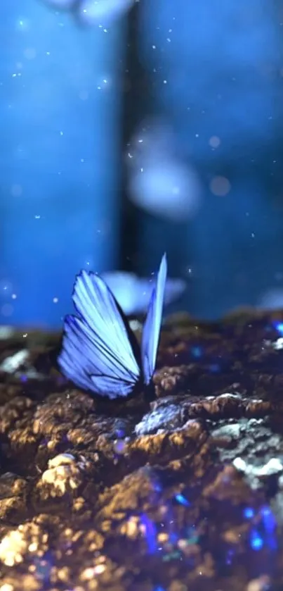 Blue butterfly on a glowing textured surface.