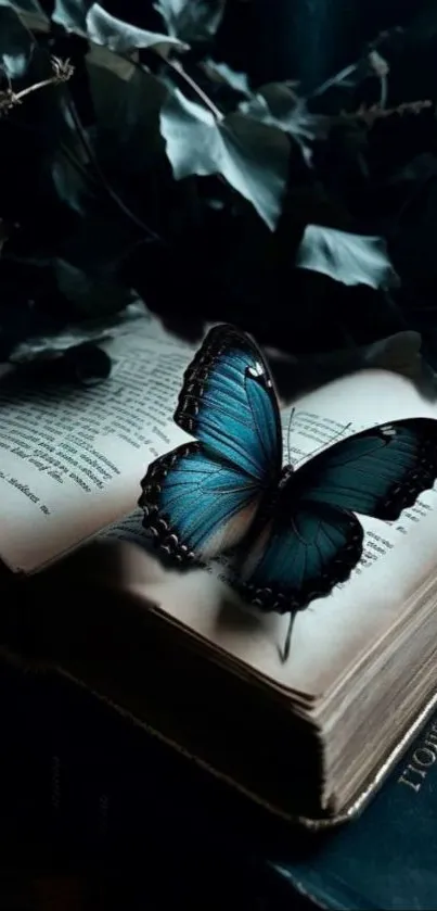 Blue butterfly perched on an open book amid dark leaves.