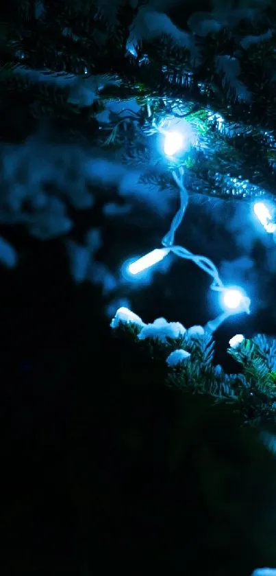 Blue fairy lights illuminating snowy branches at night.