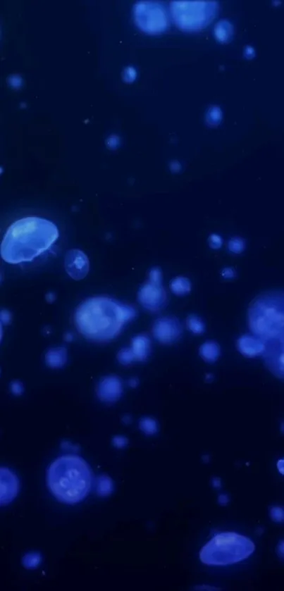 Glowing blue jellyfish in deep ocean mobile wallpaper.