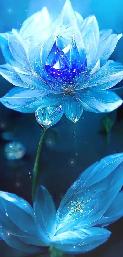 A vibrant blue lotus flower in full bloom on a serene dark background.