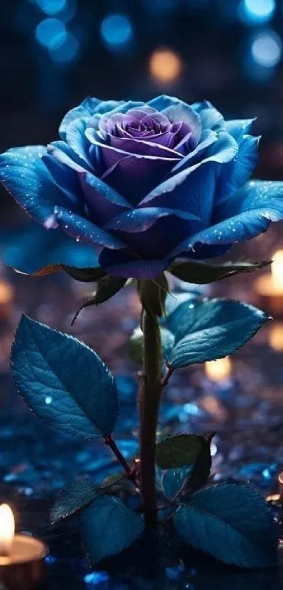 Blue rose with candles on a vibrant background.