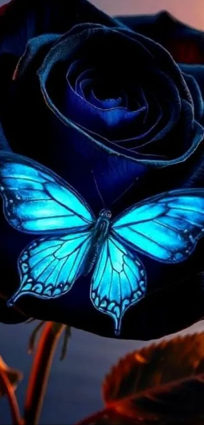 Blue rose with a luminous butterfly resting on it.