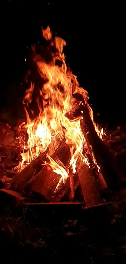 Enchanting bonfire glowing at night with burning logs.