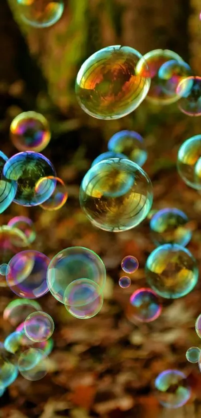 Colorful bubbles floating in an autumn forest.