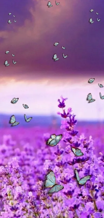 Butterflies fluttering over a purple flower field under a mystical sky.