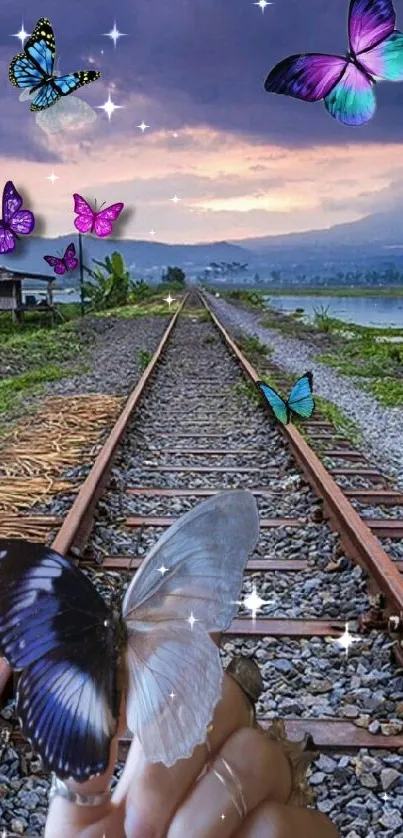 Colorful butterflies over railway at sunset.