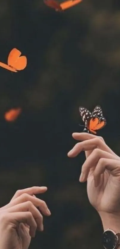 Orange butterflies flutter against a dark background.