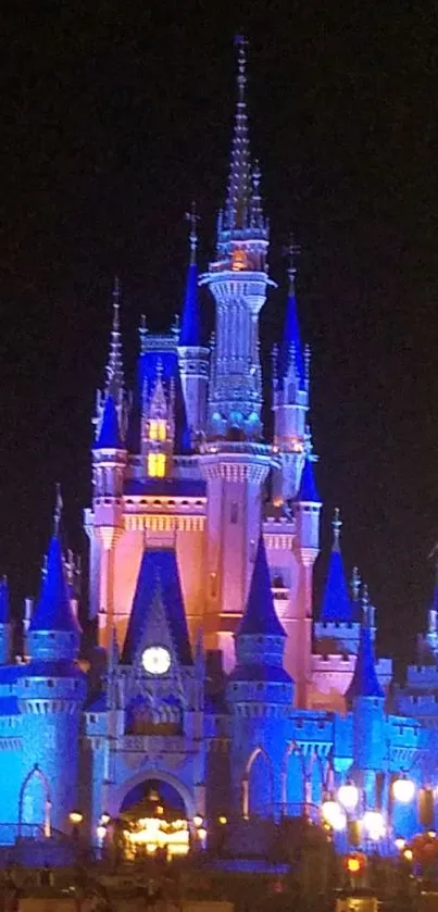 Beautifully illuminated castle at night.