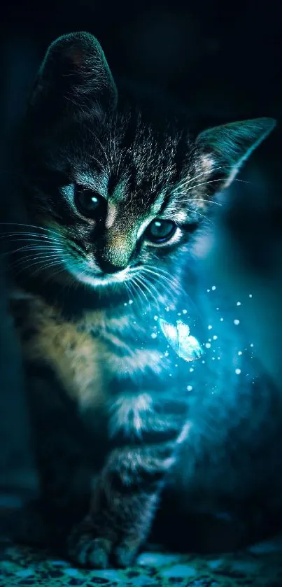 Curious cat with glowing magical light effect on dark background.