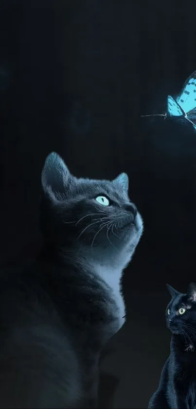 Cats gazing at glowing blue butterflies in a dark, mystical scene.