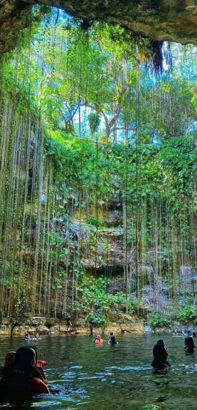 Cenote with lush greenery and swimmers, tranquil nature scene.