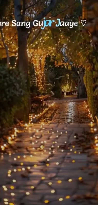 A beautifully lit garden path in the evening glow.