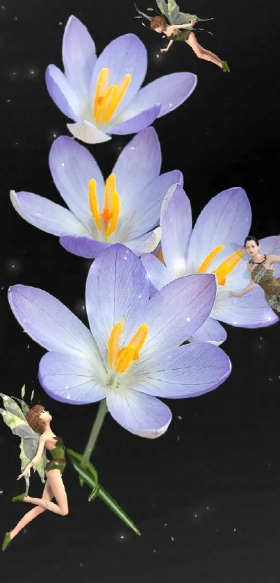 Lavender flowers with fairies on a black background mobile wallpaper.