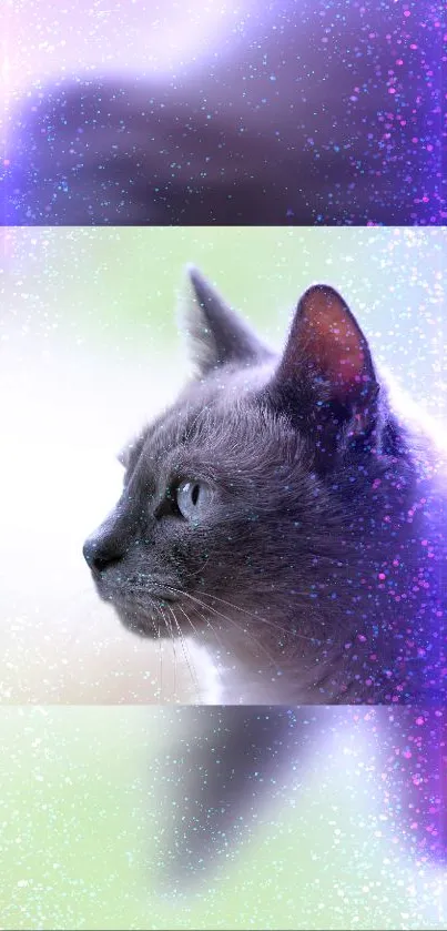 Mystical cat in a cosmic purple galaxy-themed wallpaper.