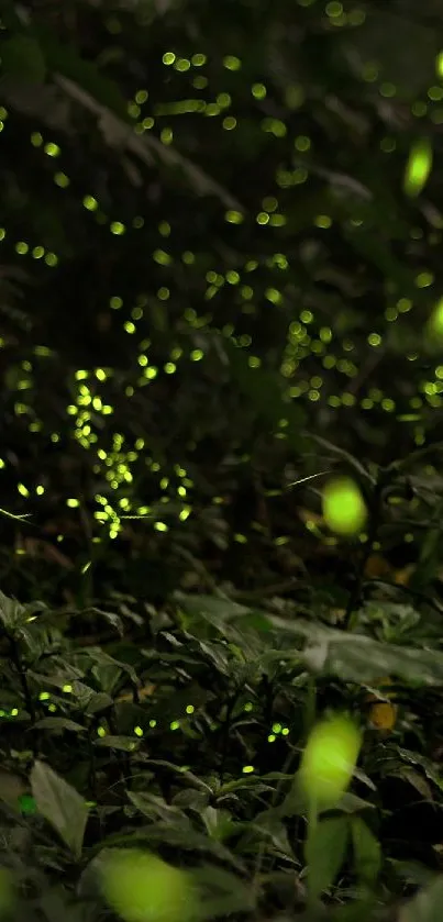 A forest path lit by glowing fireflies.