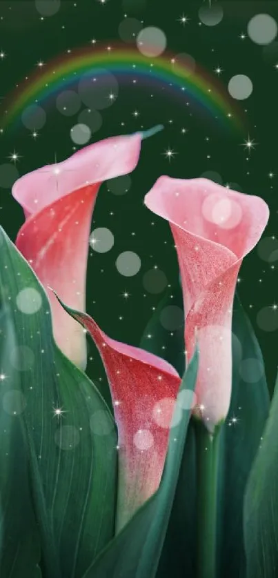 Pink calla lilies with a starry background and a rainbow on dark green.