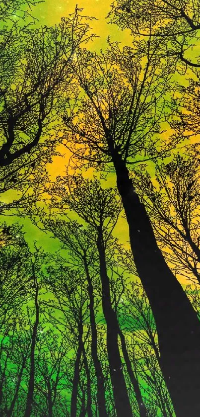 Forest canopy with green and yellow hues creating a vibrant and serene mobile wallpaper.