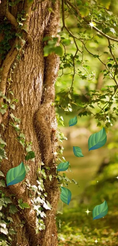 Enchanting forest path with lush green trees.