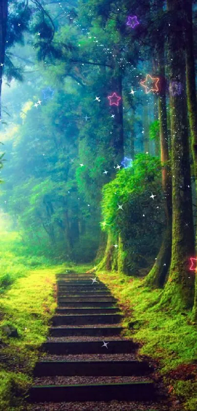 Enchanting forest path with lush greenery and towering trees.