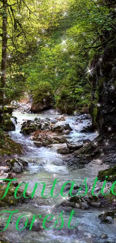 Serene forest stream flowing through lush greenery with sparkling highlights.