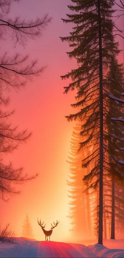 Silhouetted deer on a forest path at sunset with vibrant orange hues.