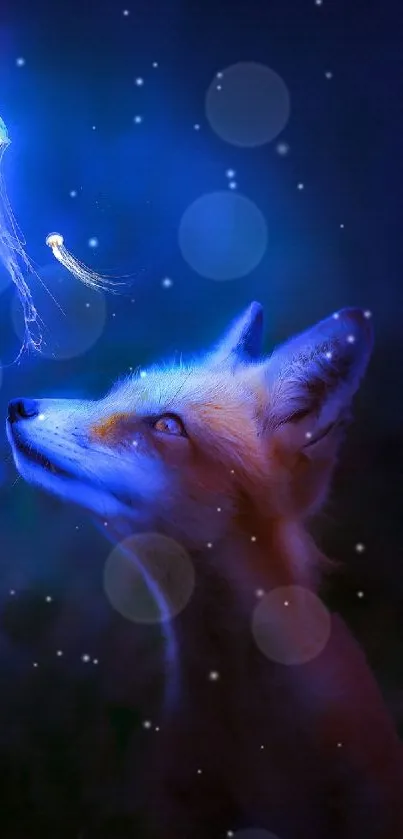 Fox mesmerized by glowing jellyfish at night, with a dark blue backdrop.
