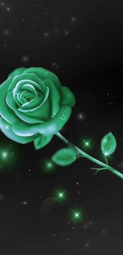 Green rose on starry black background with luminous effect.