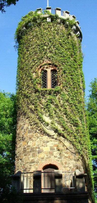 Ivy-covered stone tower with lush greenery and blue sky.