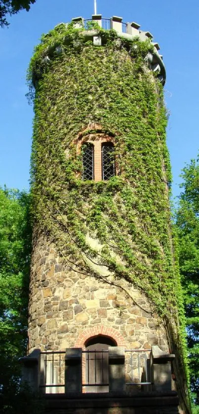 Ivy-covered stone tower surrounded by lush green trees.