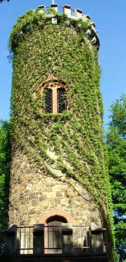 Ivy-covered stone tower in lush greenery.