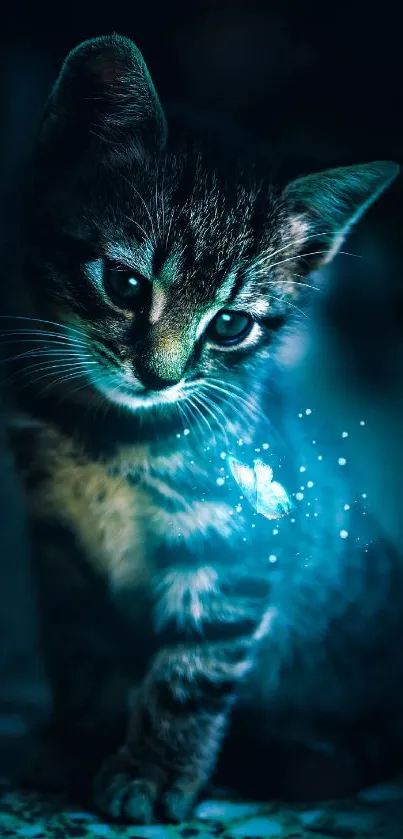 A cute kitten enchanted by glowing blue light.