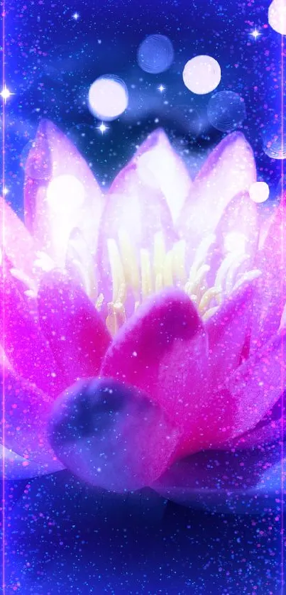 Pink lotus flower glowing against a starry night background.