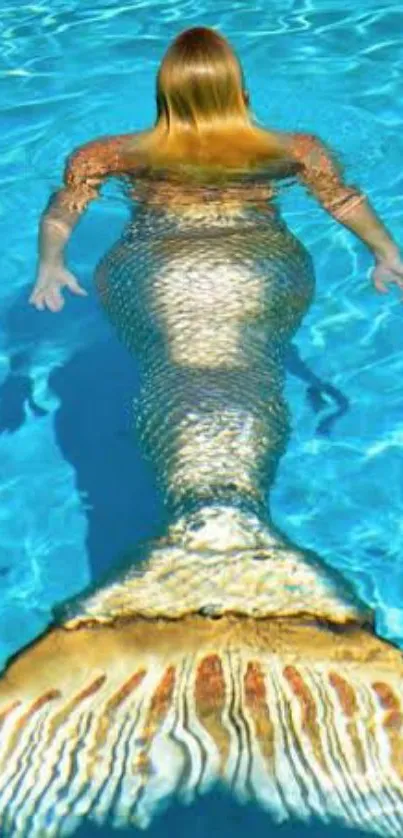 A mermaid swimming in clear blue water with a shimmering tail.