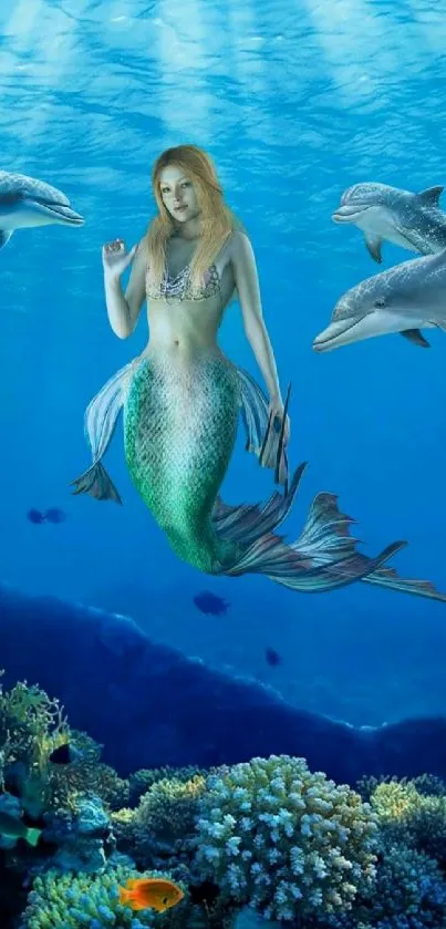 Mermaid with dolphins in blue ocean wallpaper.