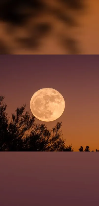 Serene wallpaper featuring a full moon against a dusky sky.