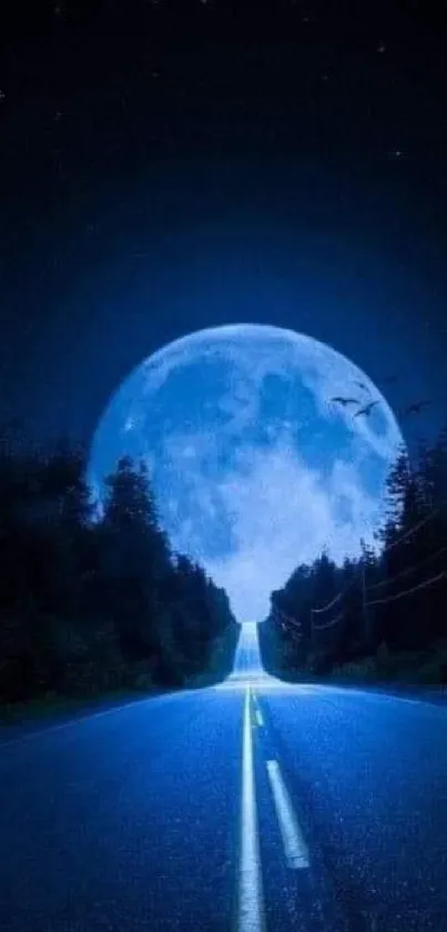 Moonlit road leading towards a luminous night sky.