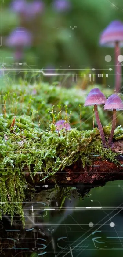 Mushrooms on a mossy branch in a serene forest setting.