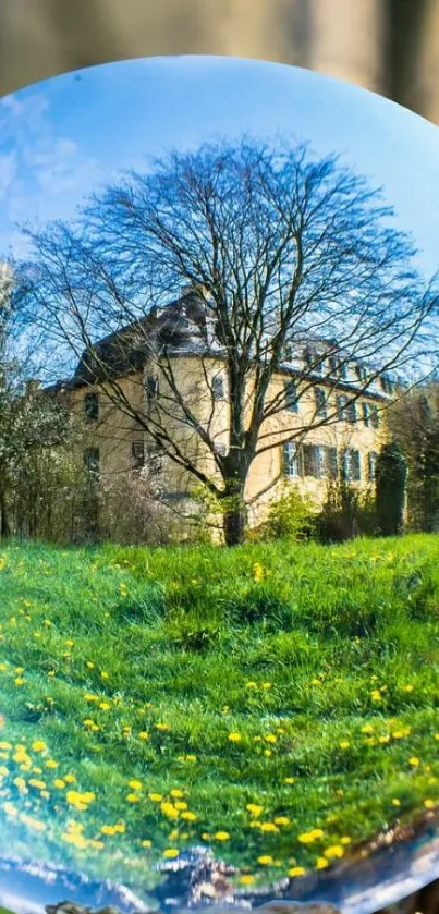 Crystal ball reflecting nature scene with a historic building and tree.