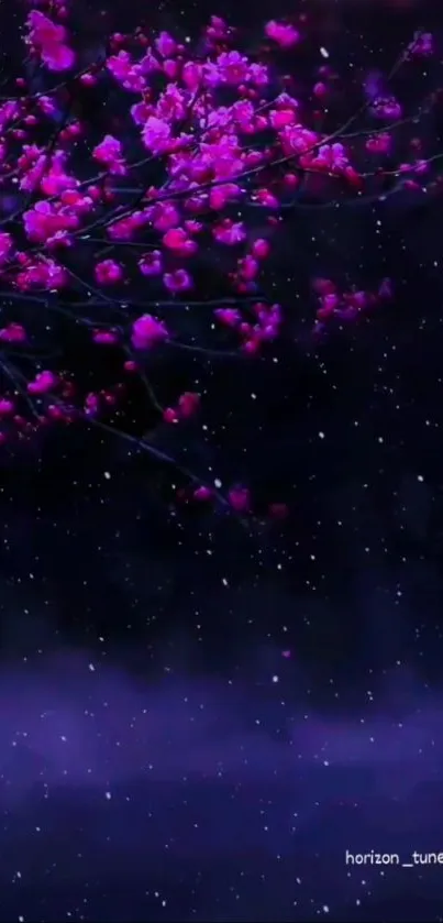 Vibrant cherry blossoms against a starry night backdrop in dark purple tones.