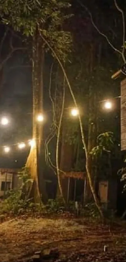 Night forest path with string lights and a tree village sign.