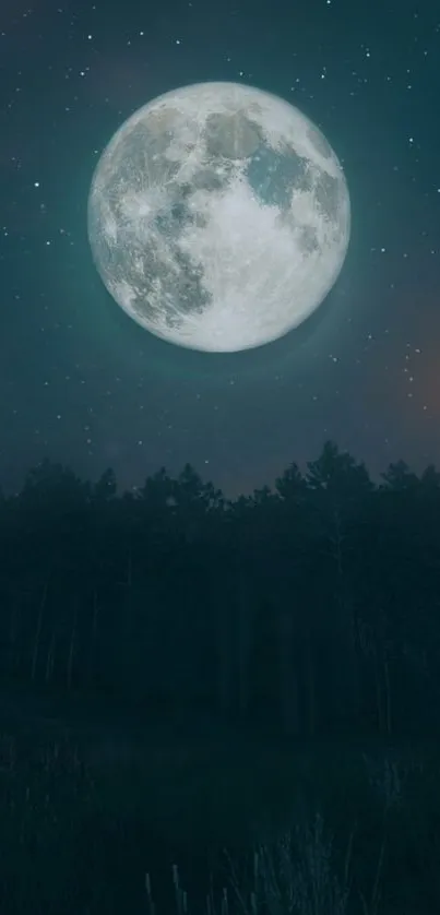 Bright full moon over forested night sky, creating a serene mobile wallpaper scene.